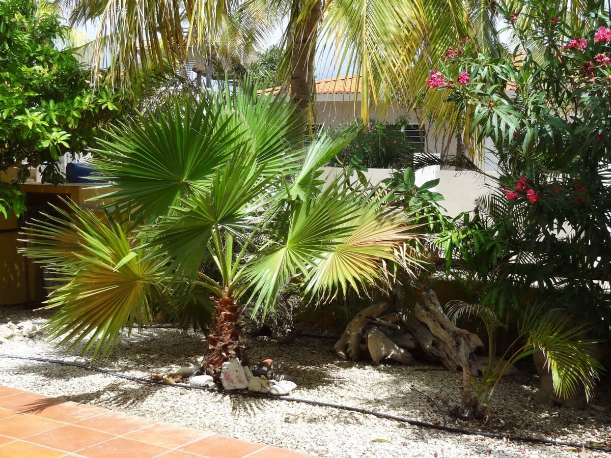 30 Makambaplein, Kralendijk, Caribbean Netherlands